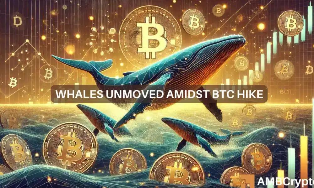 比特币鲸鱼持币不卖:比10万美元更接近我们想象的吗?