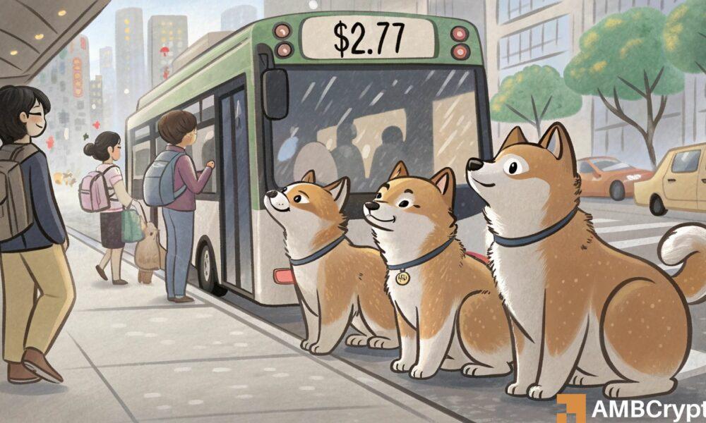 Can Dogecoin\